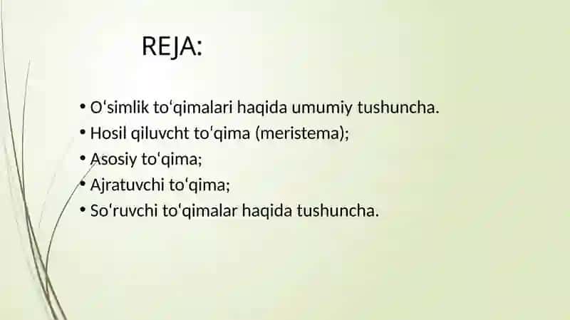 O‘simoqlik to‘qimalari 2