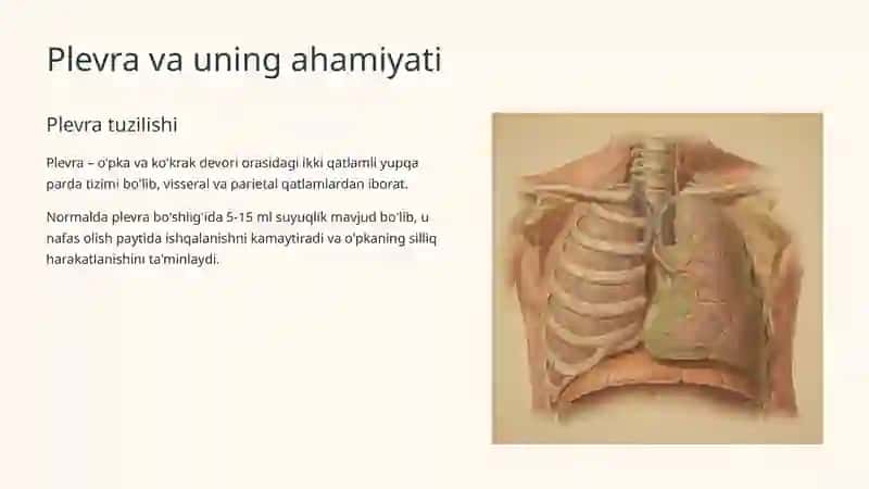 Plevra bo'shlig'ida havo va suyuqlik to'planishi sindromi 2