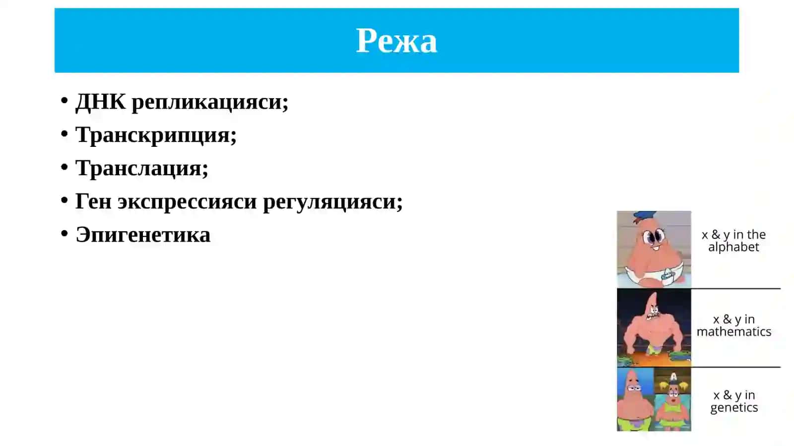 ДНК репликацияси. Транскрипция. Трансляация. Ген регуляцияси 2