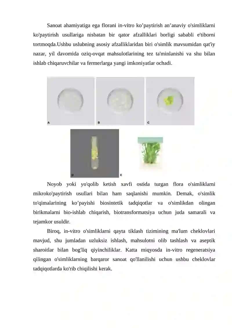 In vitro ko'paytirish usullari 2