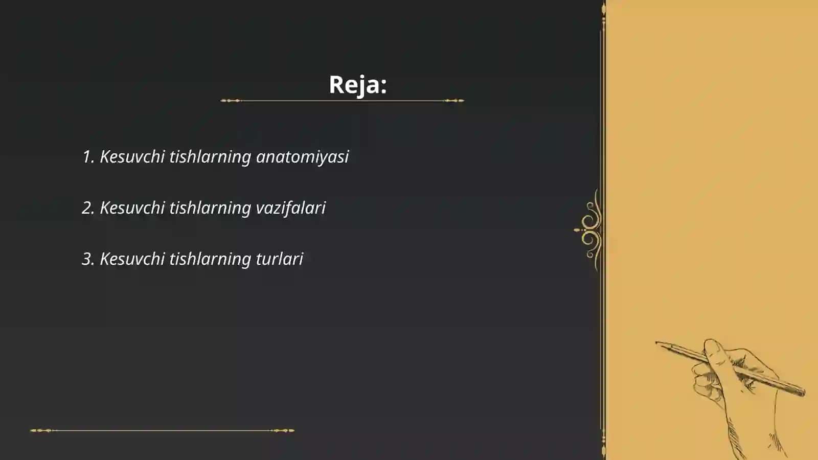 Domiy tishlovdagi frontal gurux tishlarining tuzilishi 2