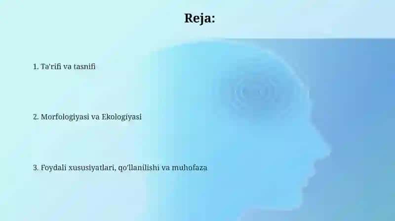 Geyrandoshlar oilasi o'simlik turi 2