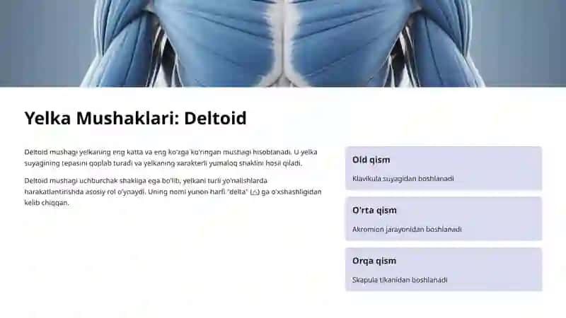 Yelka Mushaklari: Deltoid, Biceps va Triceps Anatomiyasi 2