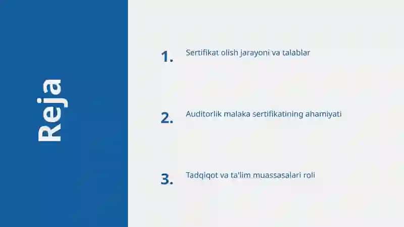 auditorlik malaka sertifikati 2