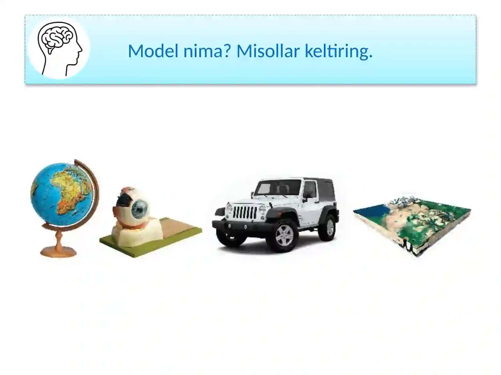 L O Y I H A I S H IEKOSISTEMA MODELINI YASASH 2