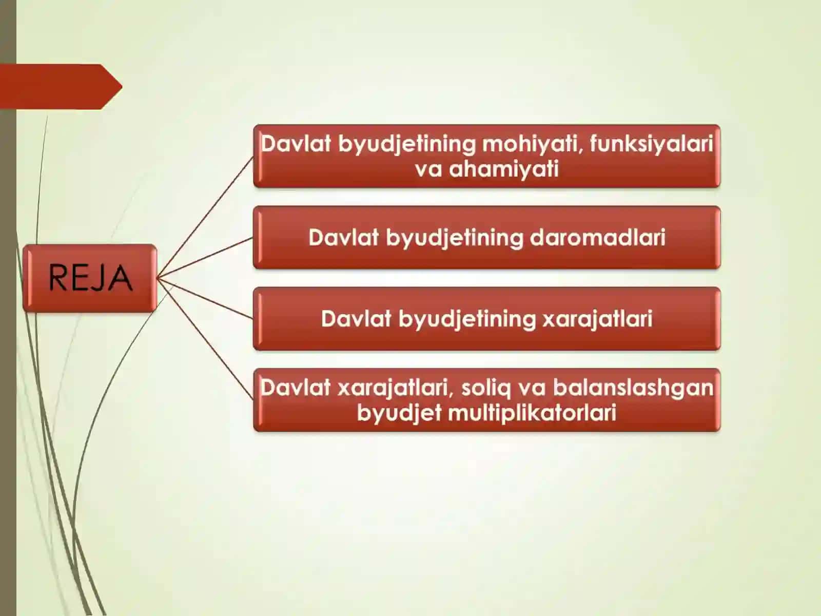Davlat byudjeti. Byudjet soliq siyosati 2