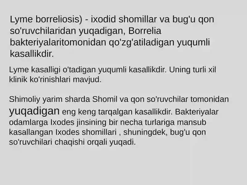 Lyme Borreliosis 2