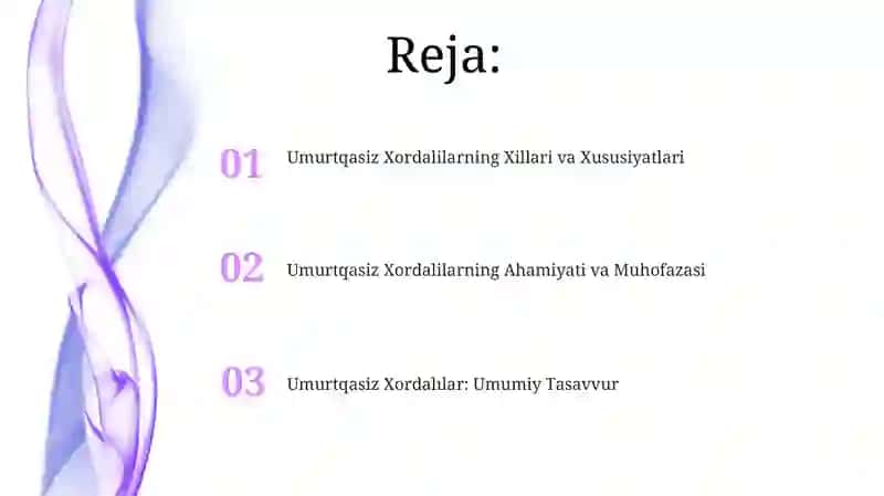 Umurtqasiz Xordalilarning Xillari va Xususiyatlari 2