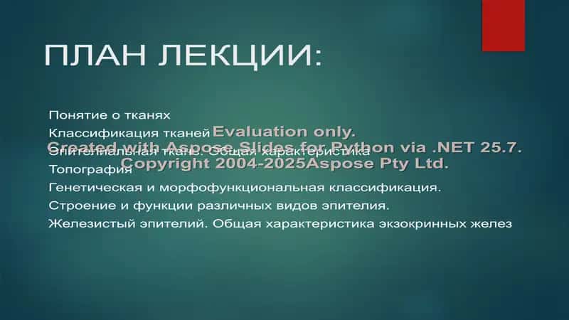 УЧЕНИЕ О ТКАНЯХ 2