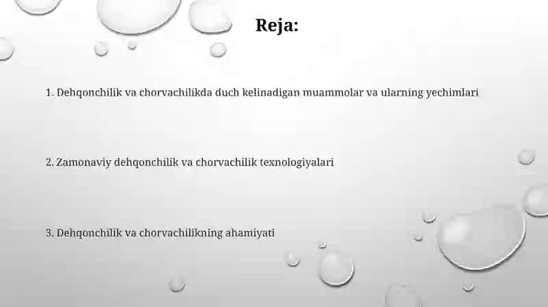Parrandachilik va chorvachilik 2