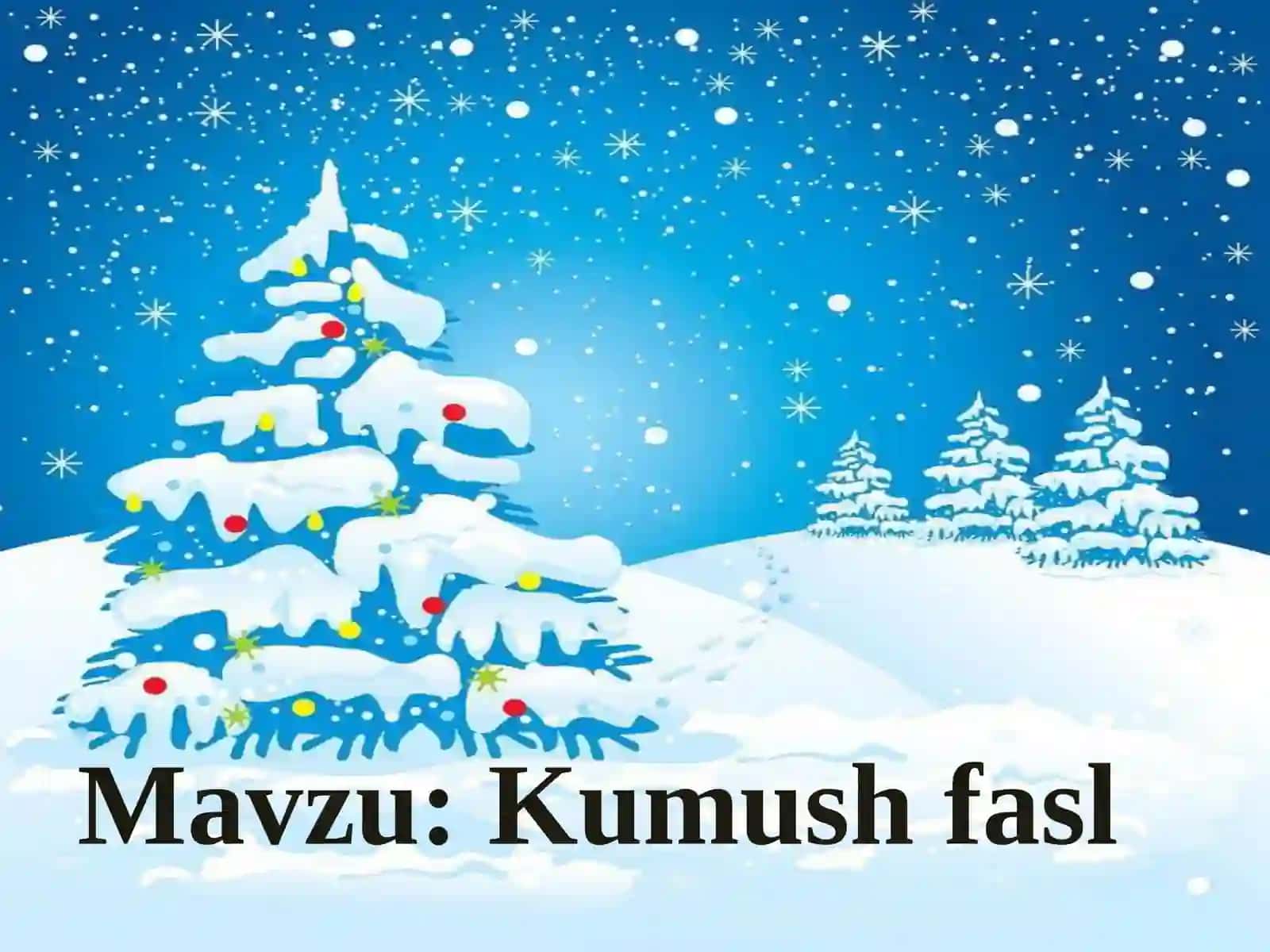 3-sinf O'qish fanidan Kumush qish mavzusida dars ishlanma 2