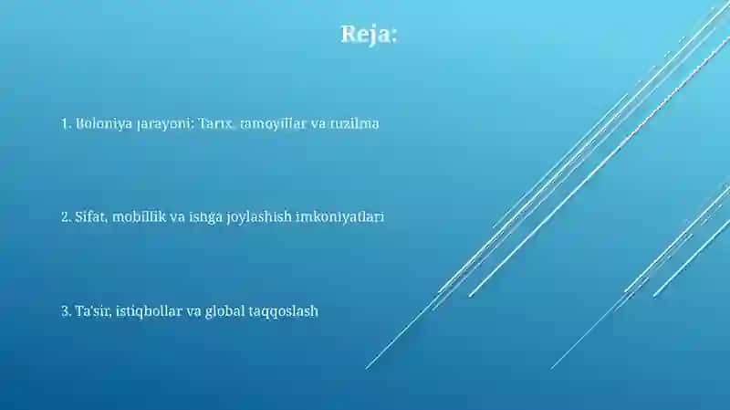 Boloniya jarayoni: Tarix, tamoyillar va tuzilma 2