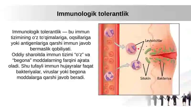Immunologik tolerantlik nuqsonlari. Autoimmun xastaliklar. Psevdoallergiya. Atopikkasalliklar haqida tushuncha, dori va ozuqaviy allergiya 2