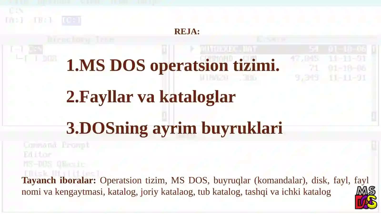MS DOS operatsion tizimi, MS DOS asosiy buyruqlari 2