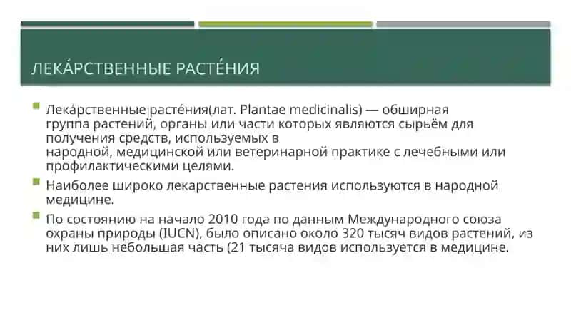 Лекарственные растения Узбекистана 2