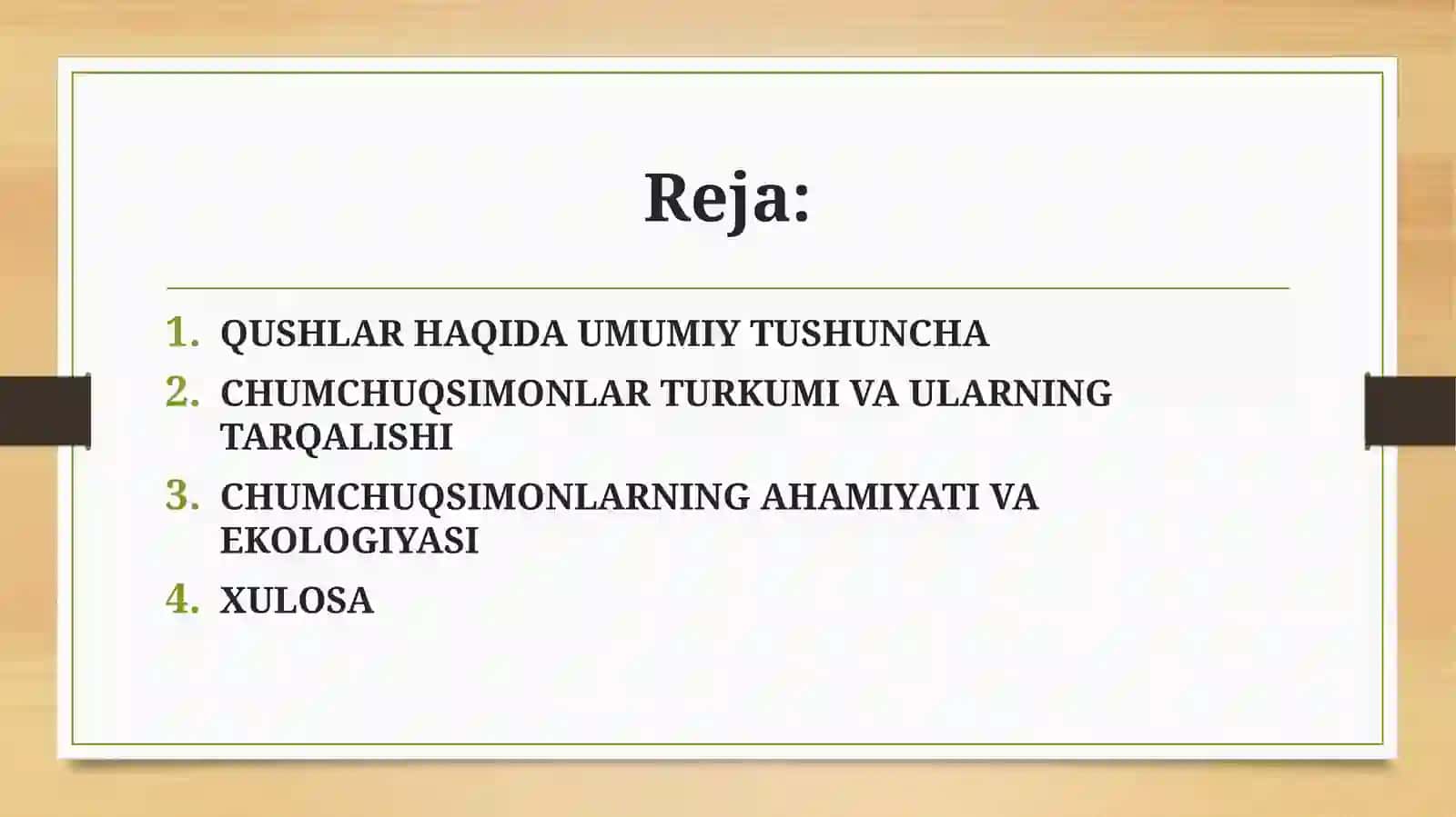 Chumchuqsimonlar Turkumi va Ularning Tarqalishi 2