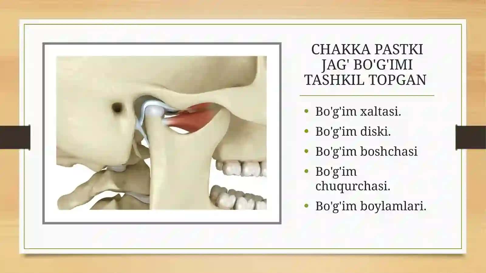 Chakka pastki jagʻ boʻgʻimi tuzilishi 2