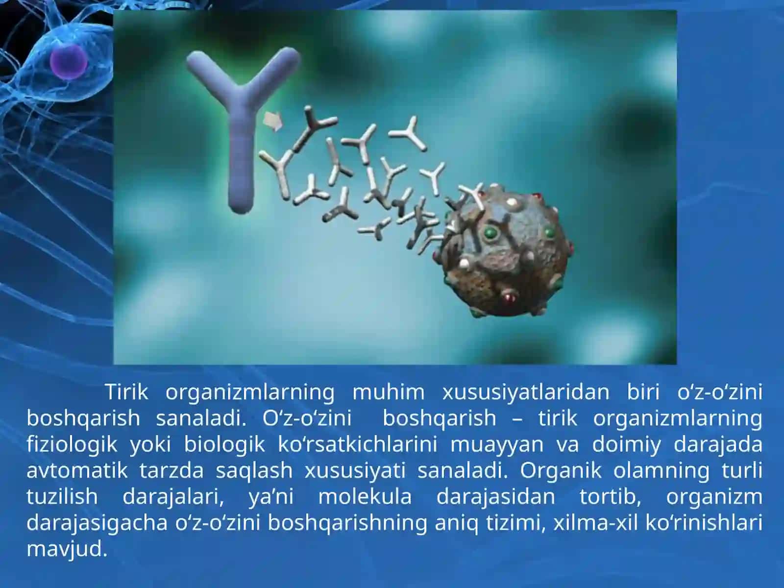 Tirik organizmalar o‘z-o‘zini idora etish organlari 2