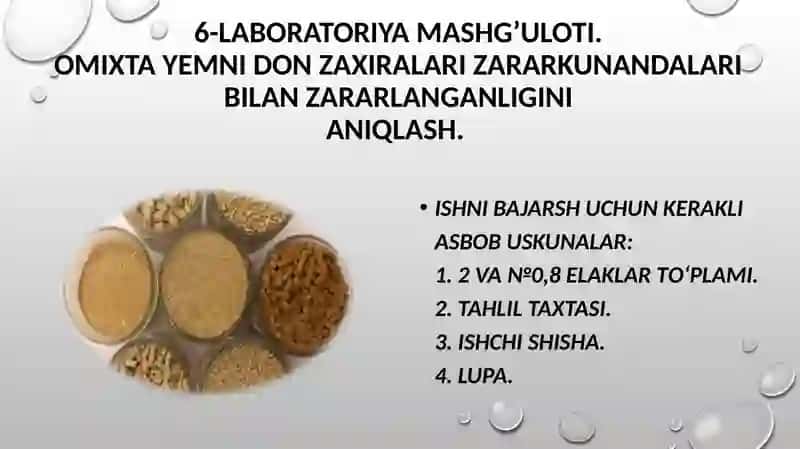 Оmixta yеmni don zaxiralari zararkunandalari bilan zararlanganligini aniqlash 2