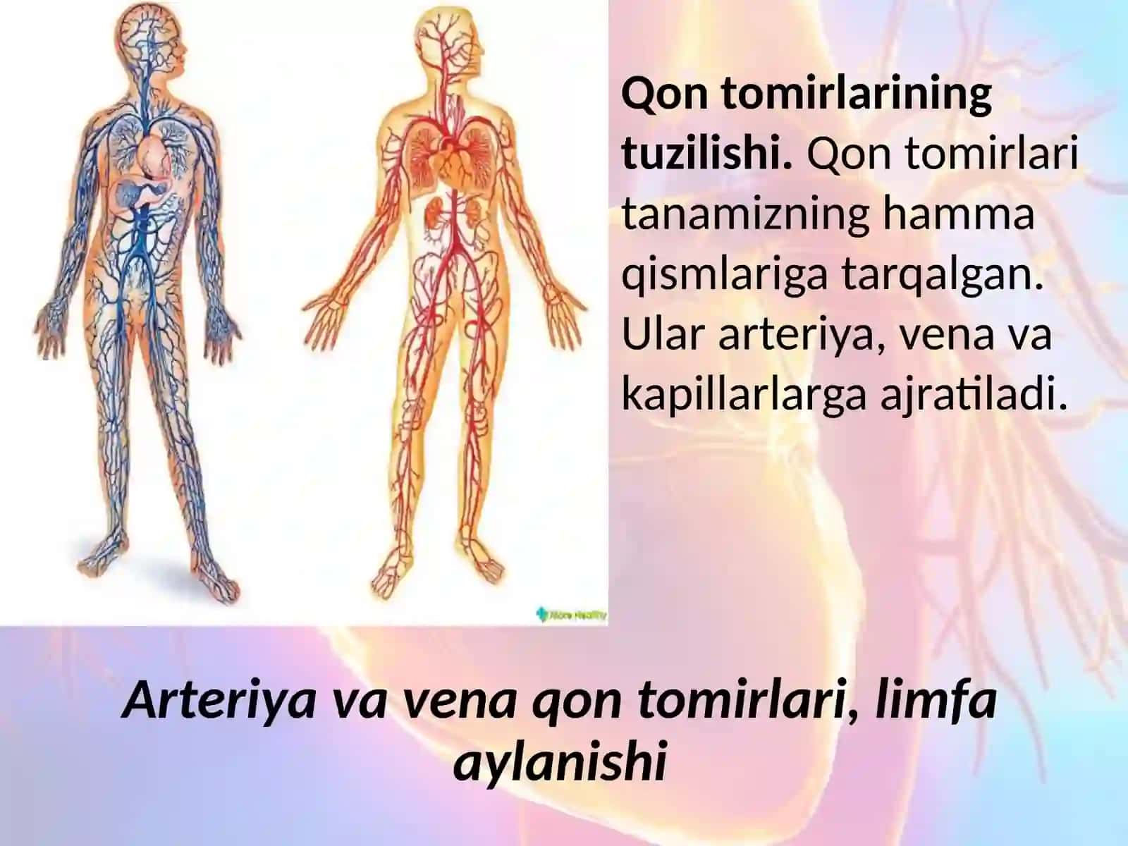 QON AYLANISH DOIRALARI HAQIDA MA'LUMOT 2