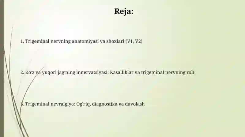 Uch shoxli nerv: koz va yuqori jag' 2