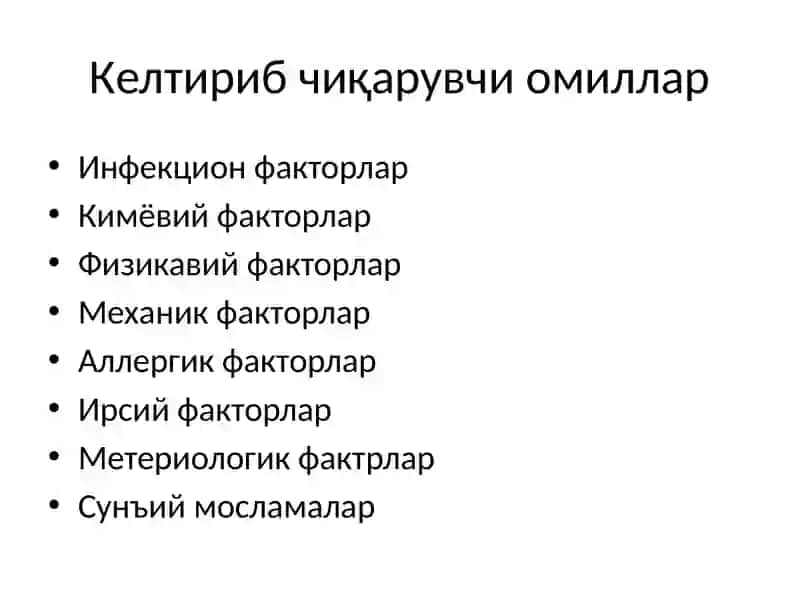 ХЕЙЛИТЛАР 2