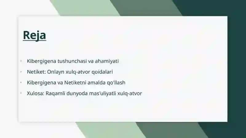 Kibergigena va Netiket 2