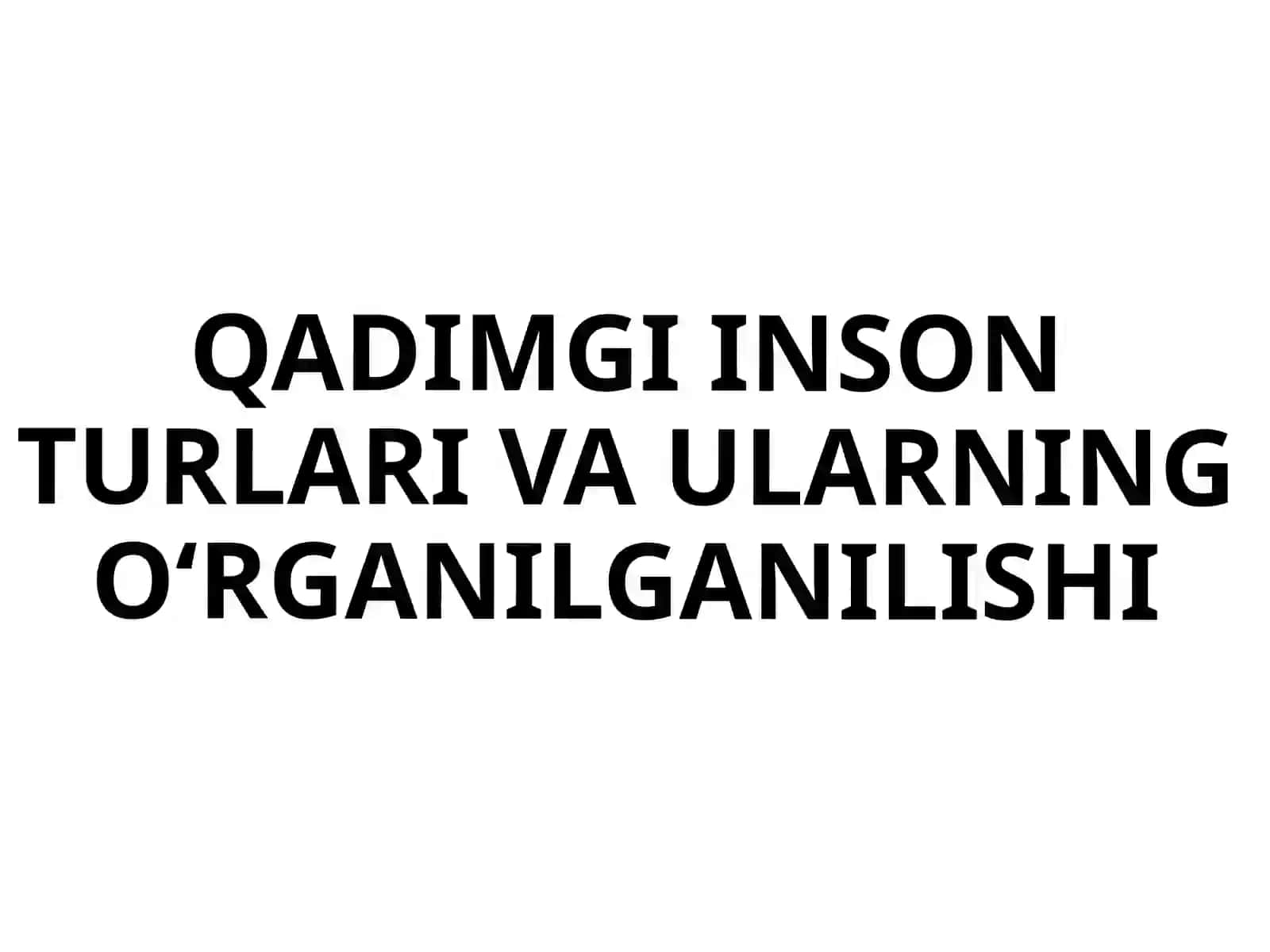 ALLAYOROVA SARVINOZNING OʻRTA OSIYO ARXEOLOGIYASI FANIDAN TAQDIMOTI 2
