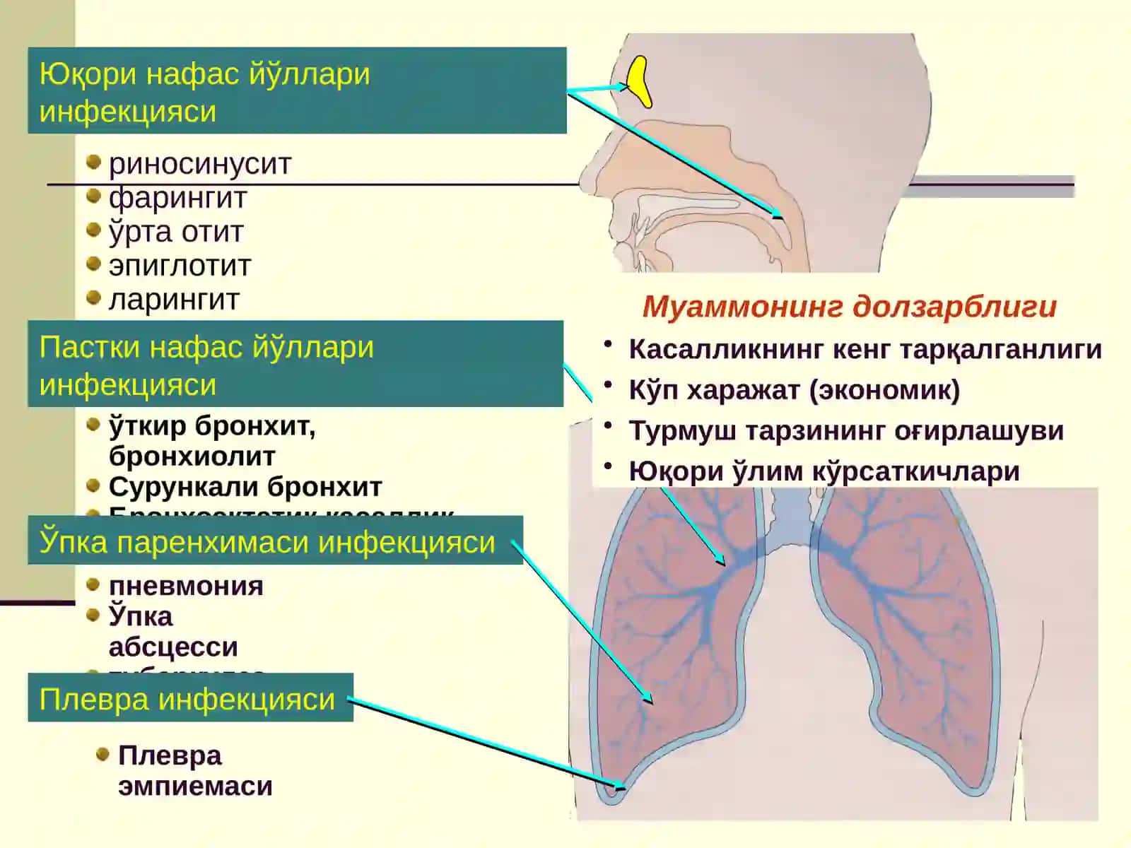 БОЛАЛАРДА ЎТКИР ПНЕВМОНИЯ 2