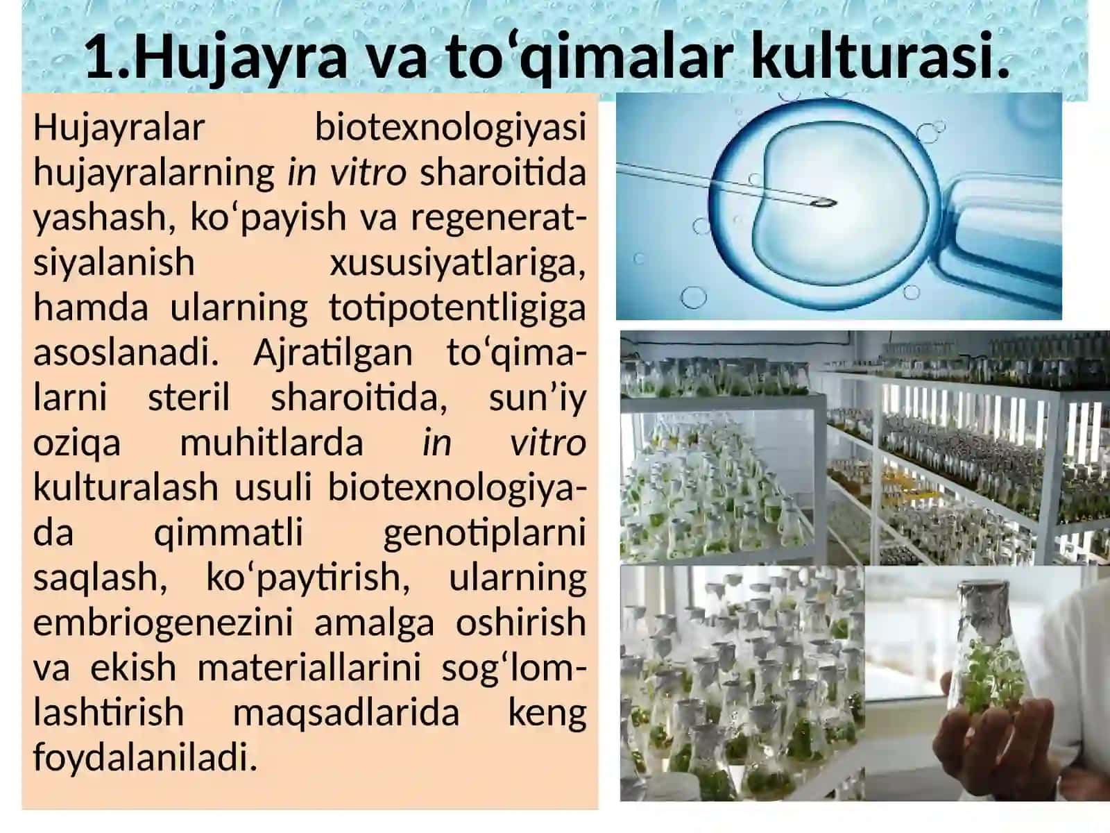 HUJAYRA VA TO‘QIMALAR BIOTEXNOLOGIYASI 2
