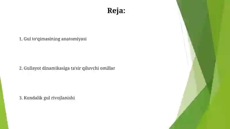 Rayxongulning tuzilishi va sutkalik gullash dinamikasi 2