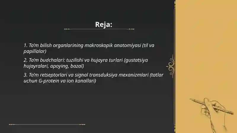 Tam bilish va hid bilish azolarining funksional anatomiyasi 2