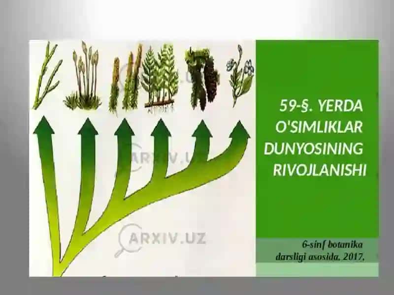 YERDA O’SIMLIKLAR DUNYOSINING RIVOJLANISHI. 2