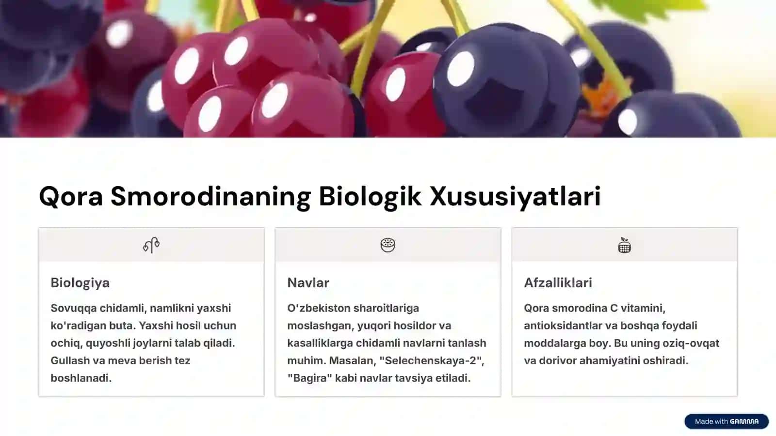 Qora Smorodina Yetishtirish Texnologiyasi 2