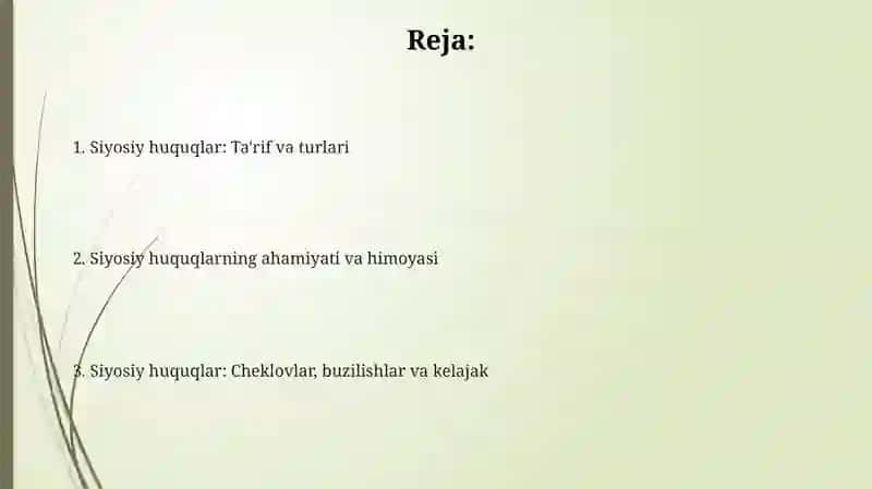 Siyosiy huquqlar 2