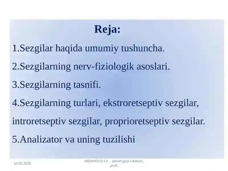 Sezgi 2