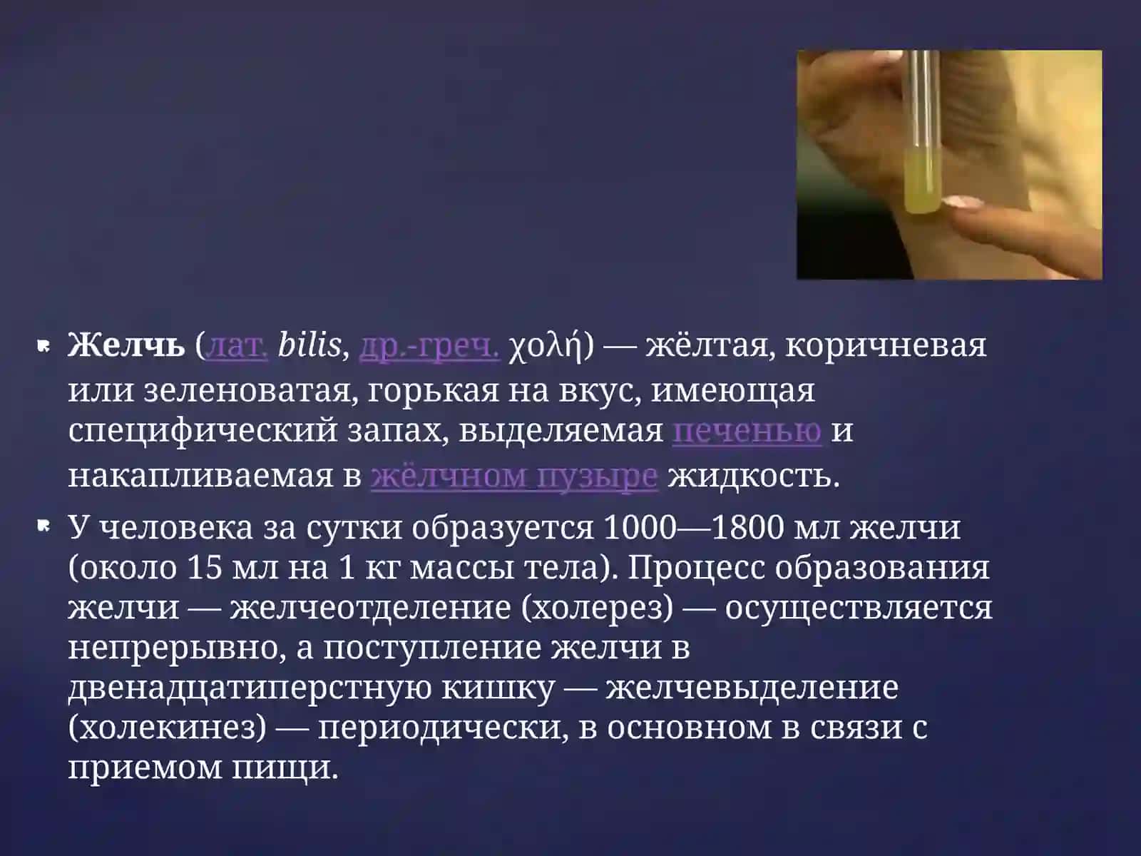 Процесс желчеобразования 2