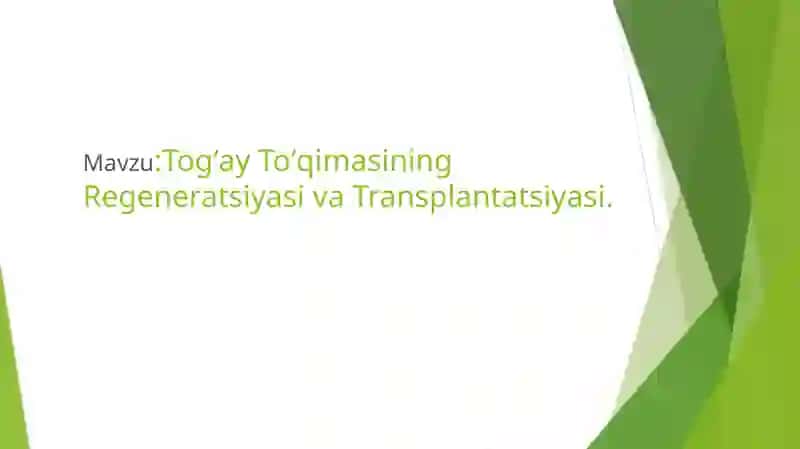 TogʻayToʻqimasiningRegeneratsiyasivaTransplantatsiyasi 2