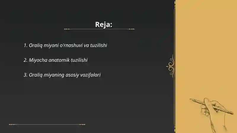 Oraliq miya va miyacha anatomiyasi va fiziologiyasi 2