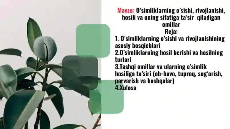 O’simliklarning o’sishi, rivojlanishi, hosili va uning sifatiga ta’sir  qiladigan omillar 2