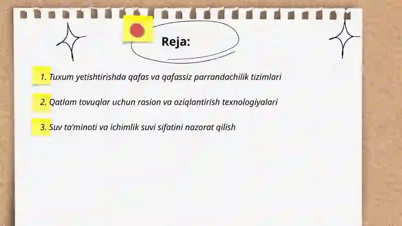 Sanoat asosida tuxum yetishtirish texnologiyasi 2