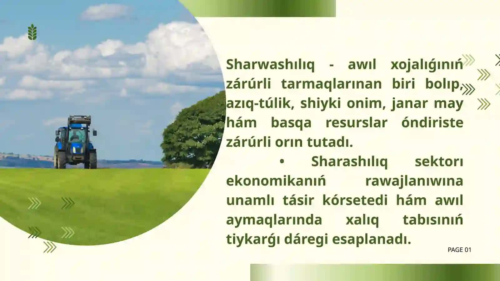 Sharwashılıq tarawın shólkemlestiriwdiń ekonomikalıq tiykarları 2