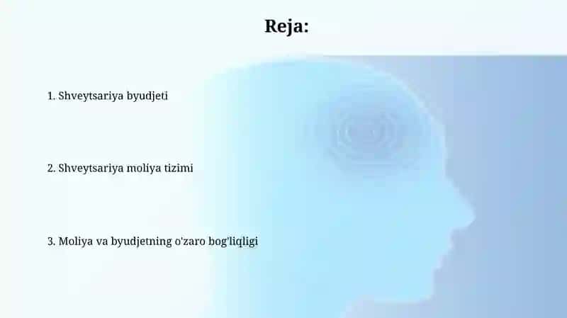 Shveysariya moliya va byudjet tizimi 2