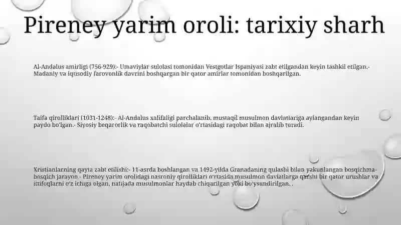 11-15 Asrlarda Pireneya YarimOroliDavlatlari 2