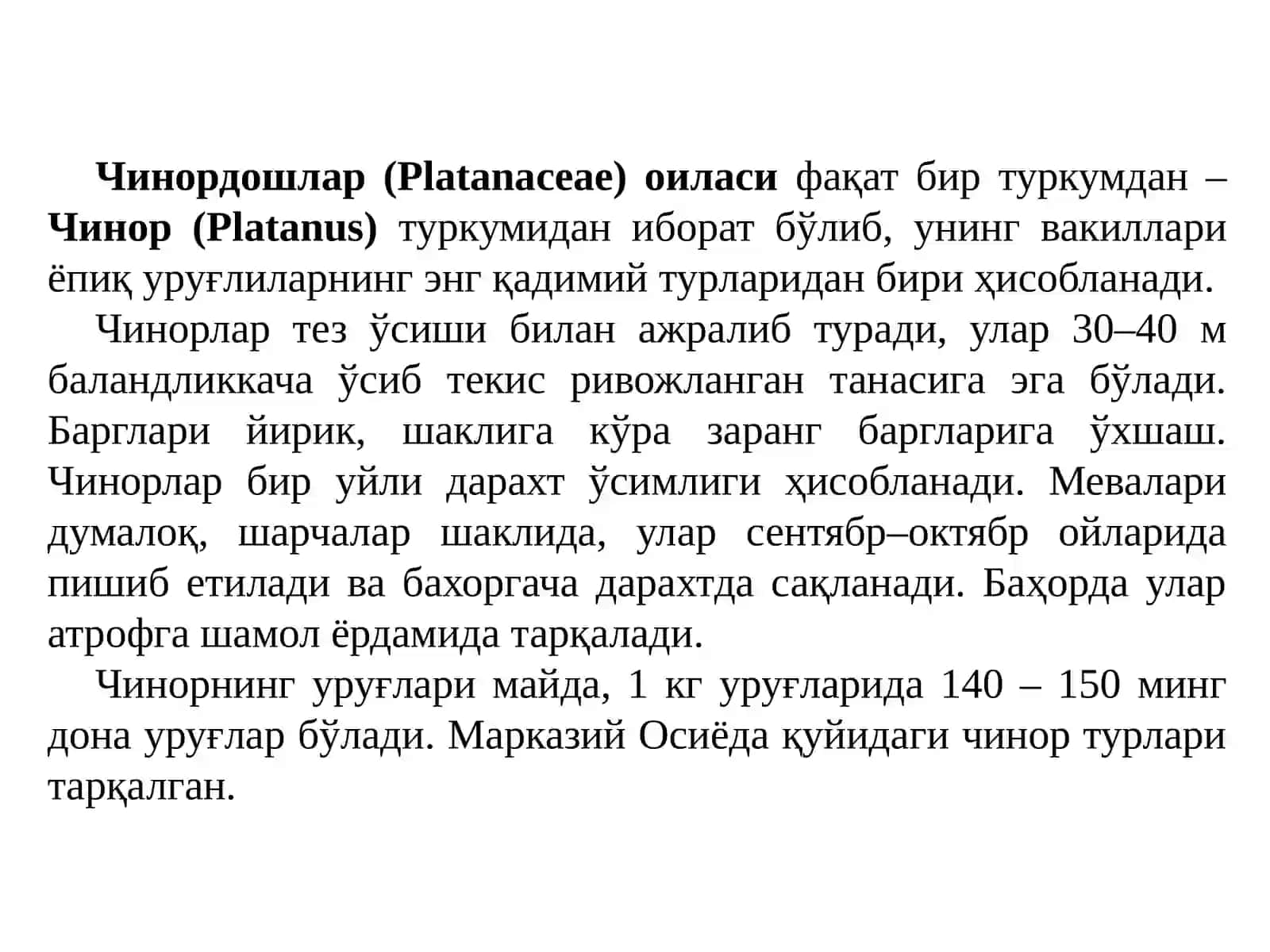 ЧИНОРДОШЛАР- PLATANACEAE (платанация) ОИЛАСИ (платановые) 2