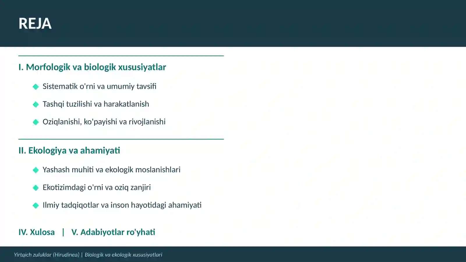 Yirtqich zuluklar (Hirudinea) 2