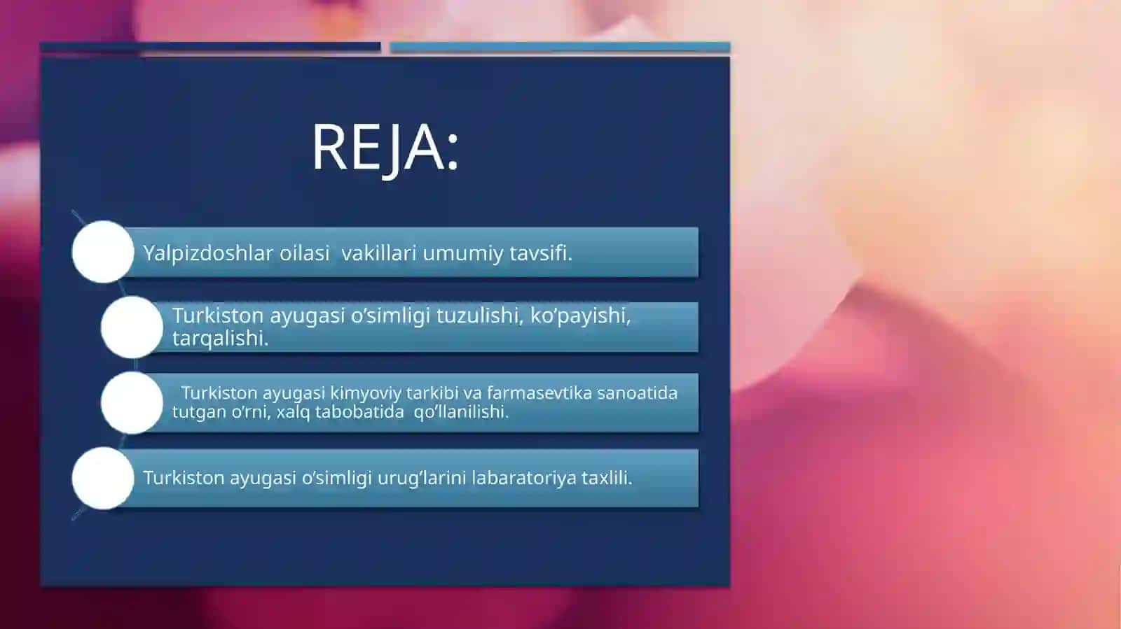 Turkiston ayugasi (Ajugaturkestanica) o’simligi 2