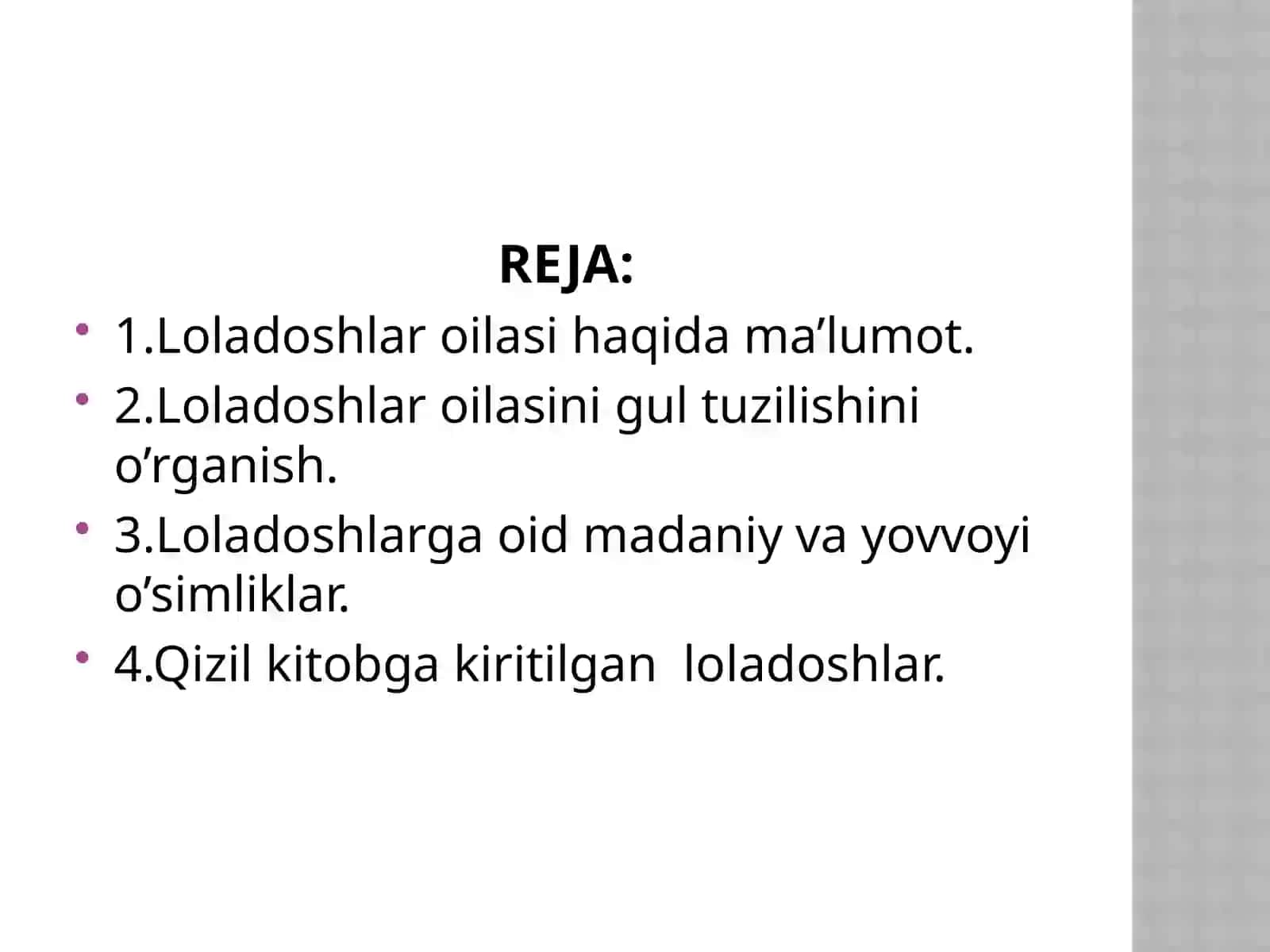 Loladoshlar oilasi 2