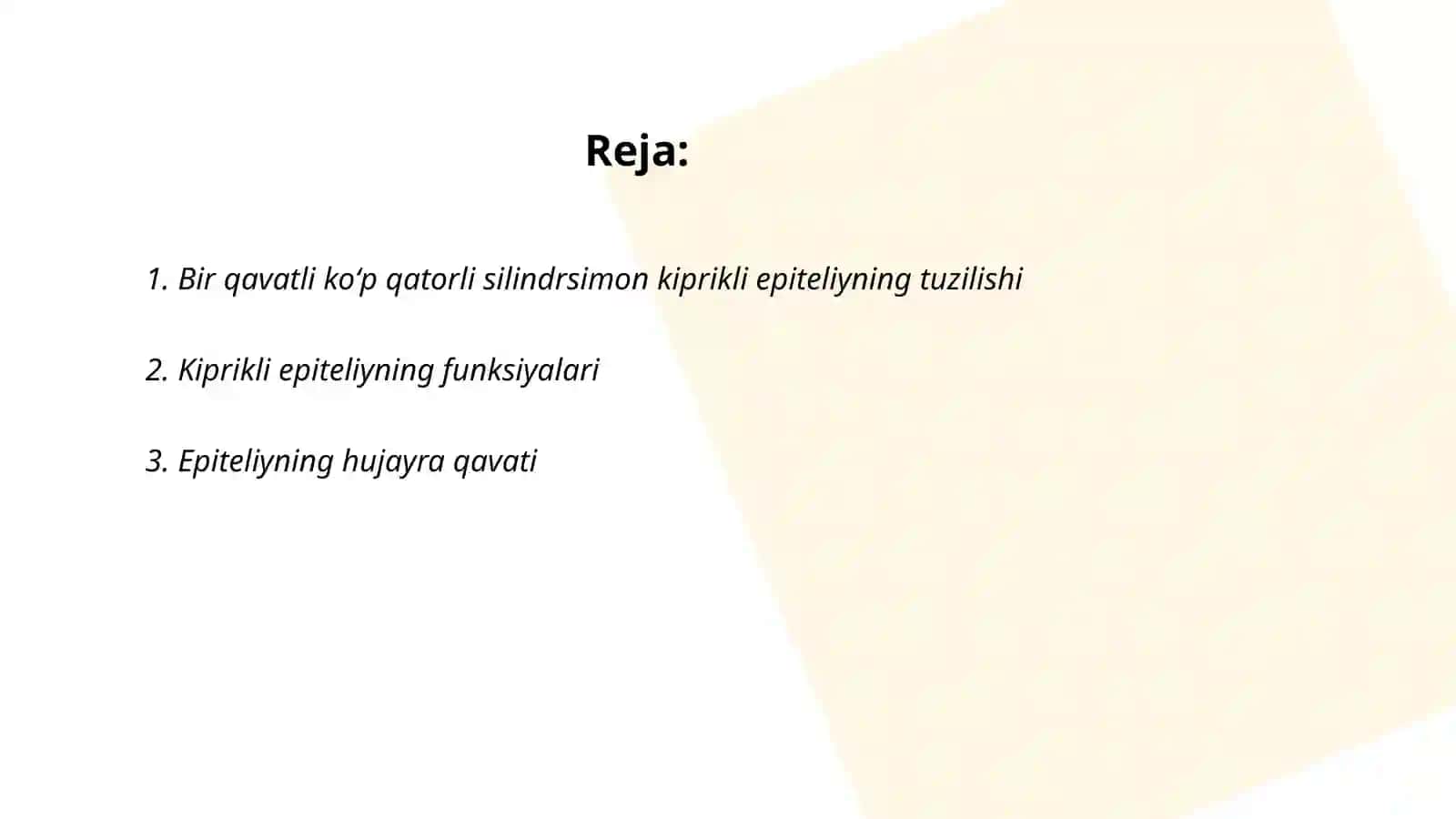 Bir qavatli koʻp qatorli silindrsimon kiprikli epiteliy 2
