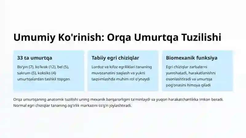 Skolioz, Kifoz va Lordozning Anatomik Asoslari 2